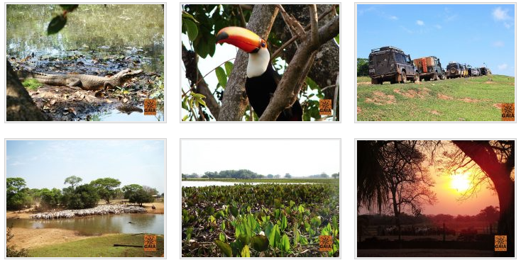 669_gaia_expedicoes_pantanal